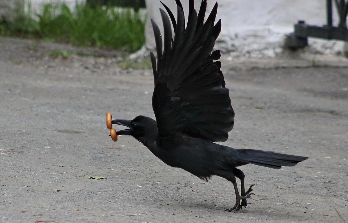 #сменапрофессии #жизньпосле45 #мужскиеперемены #радисчастья