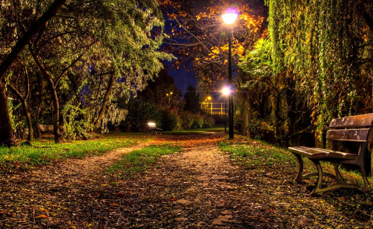 Яндекс картинки