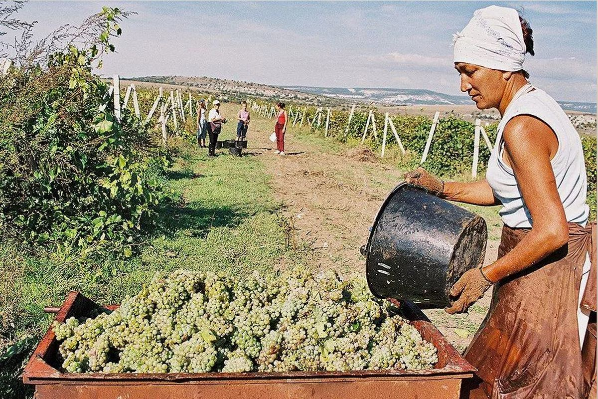 Фото: https://rodina-history.ru/