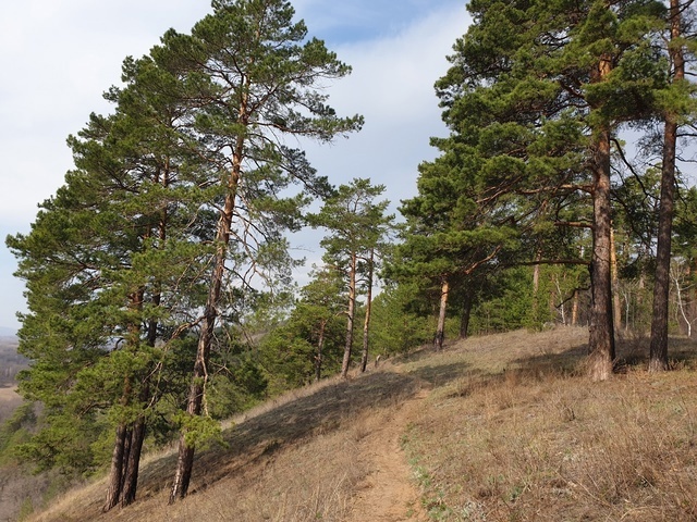    Фото: Администрация Красноглинского района
