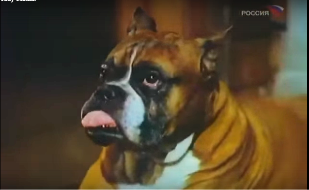 Кадр из фильма "Оглянись"