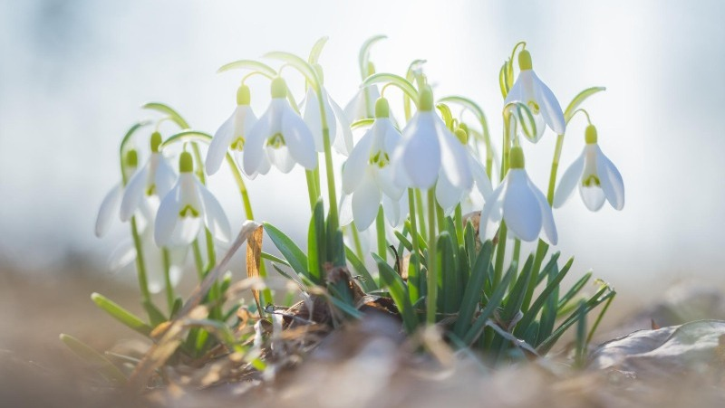 Фото: @EyeEm / freepik.com