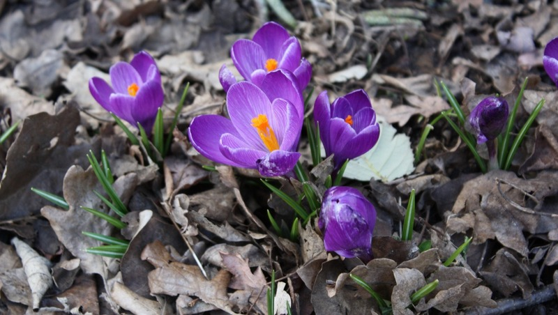 Фото: @wirestock / freepik.com