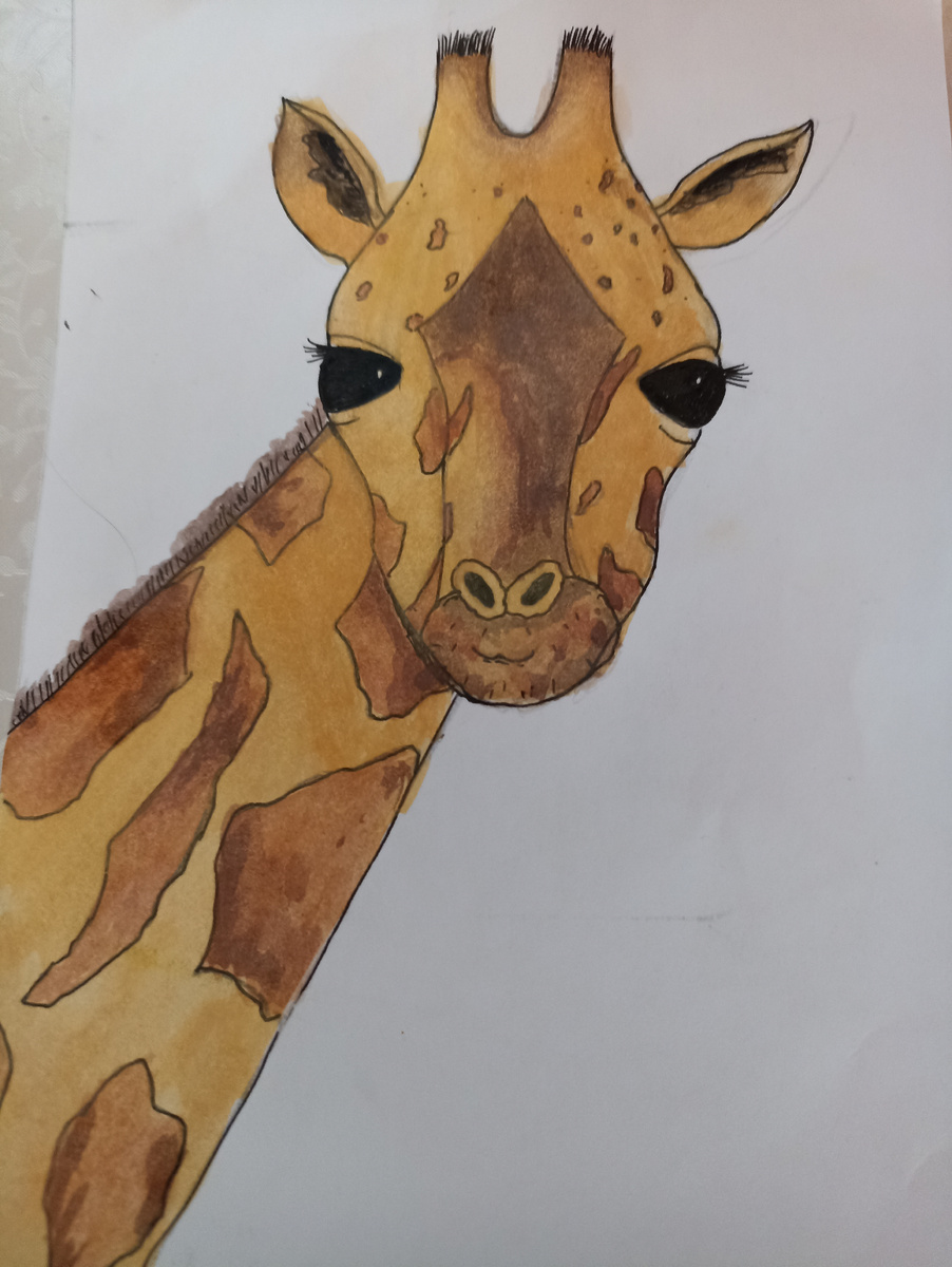 Женин новый рисунок