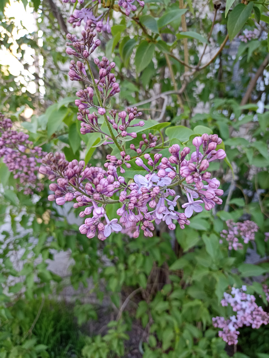 Первая в этом году