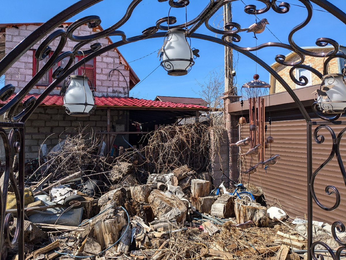 Самый черный угол моего сада