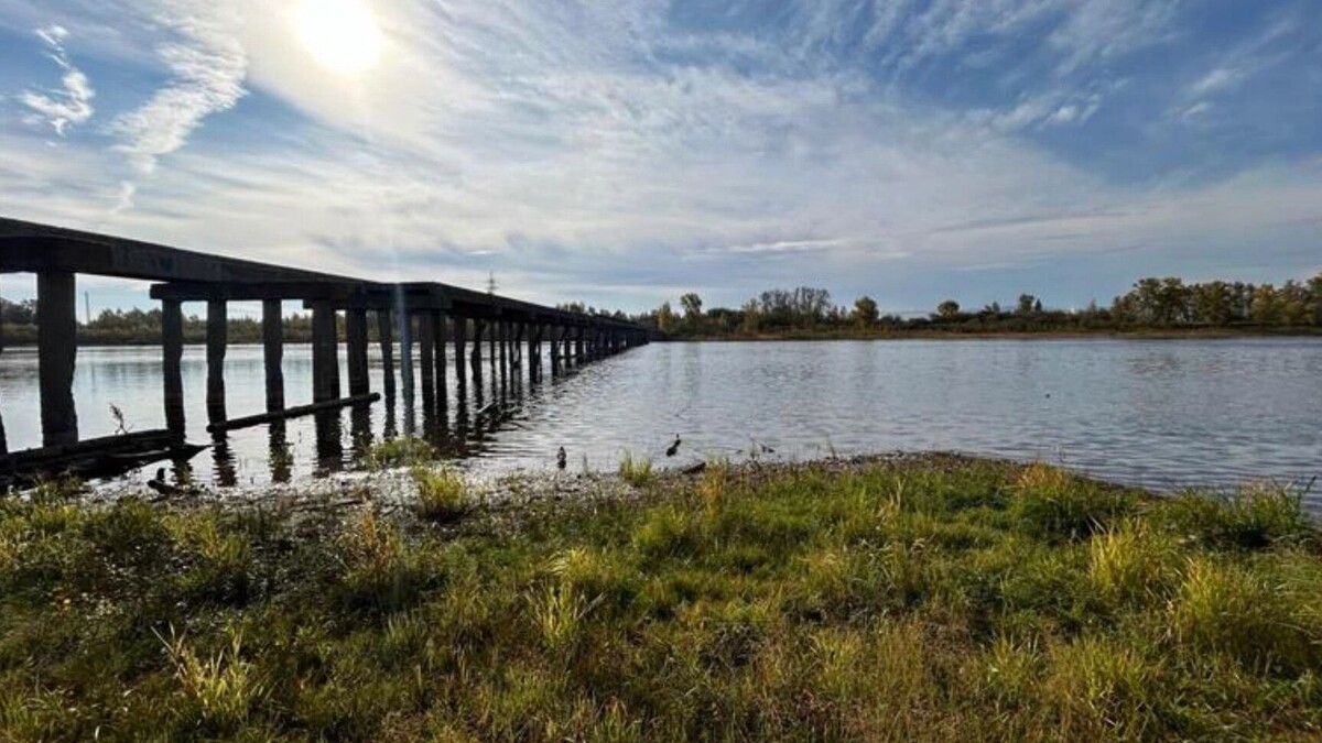     Источник: www.admkrsk.ru