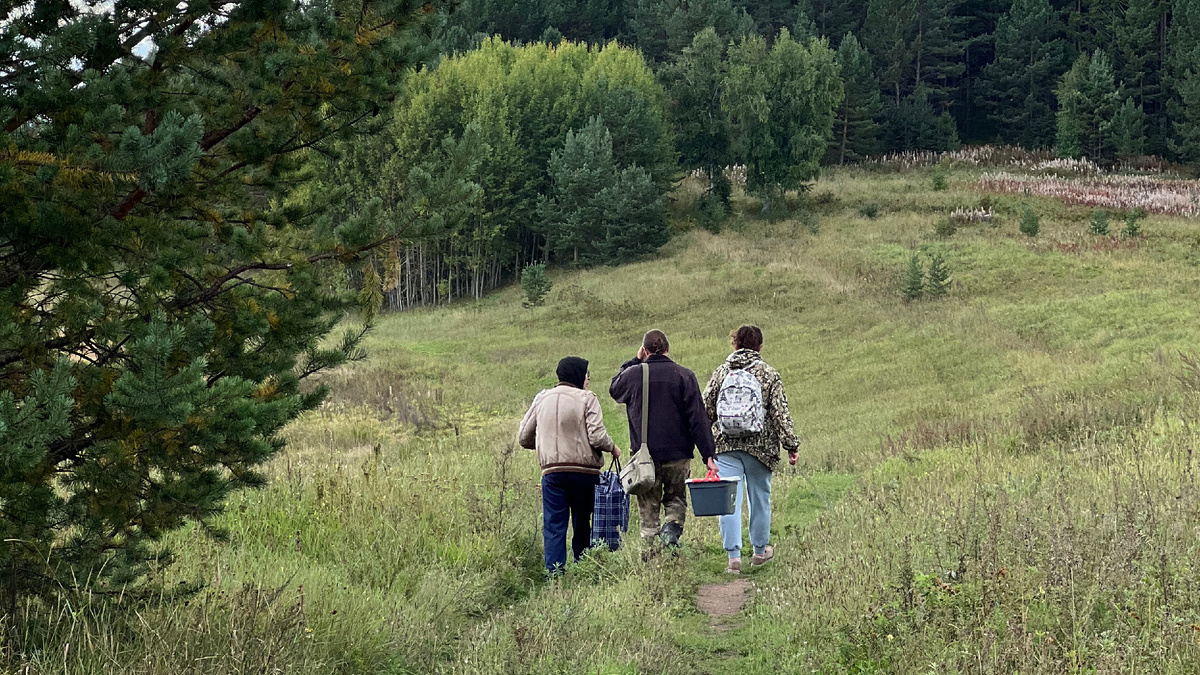 По дороге на термальный источник Кулиные болота. Источник: Елена Зиппа