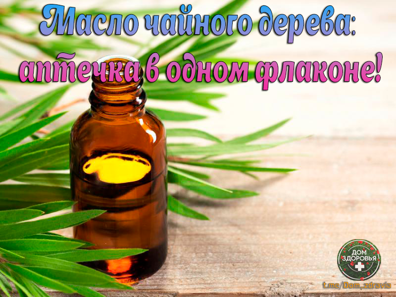 Масло чайного дерева — аптечка в одном флаконе! 5 способов применить правильно