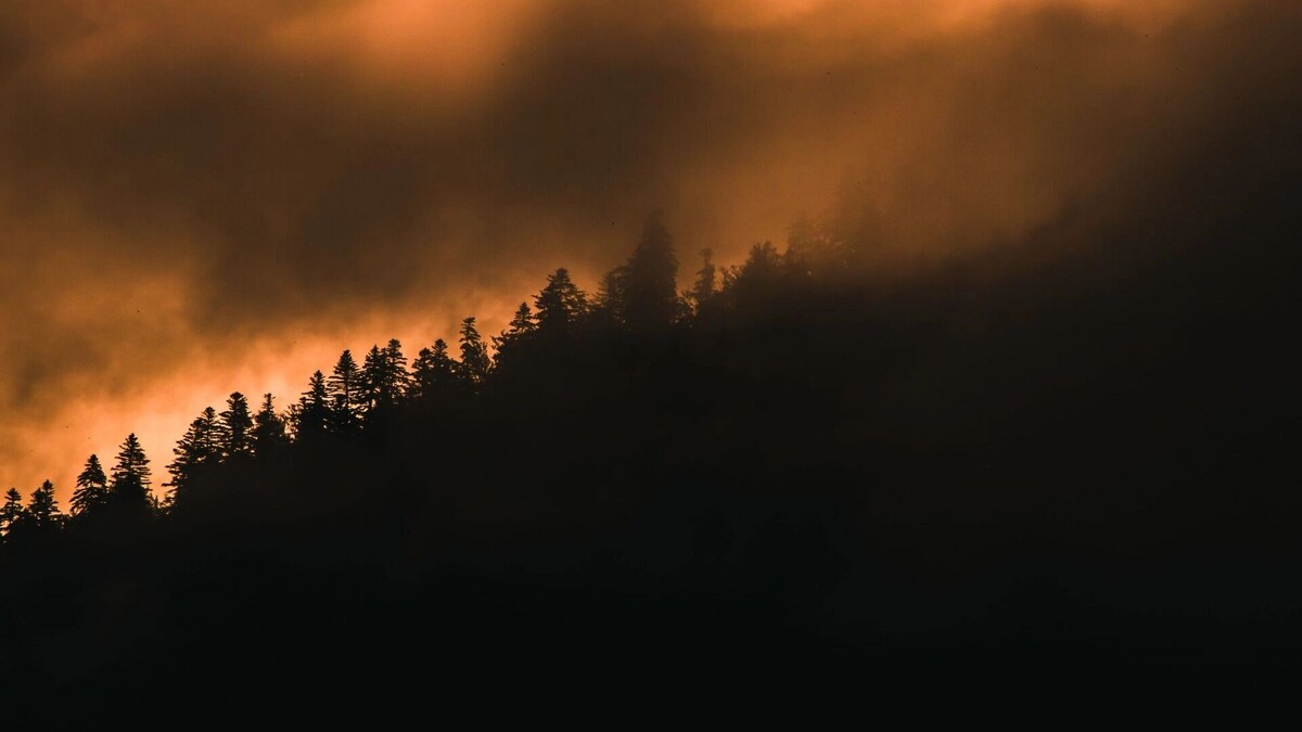     Источник: freepik.com