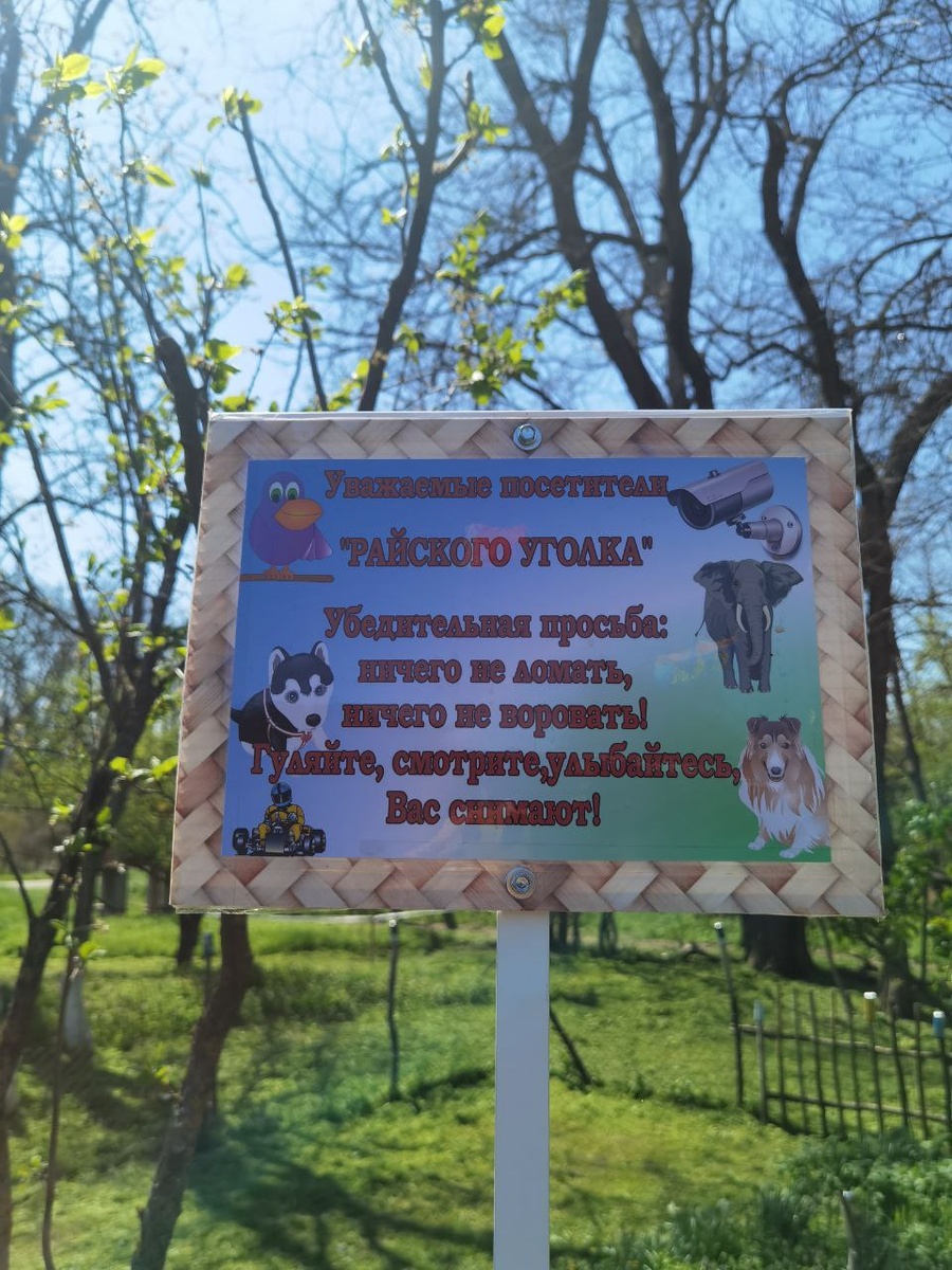 И действительно, видеокамеры висят