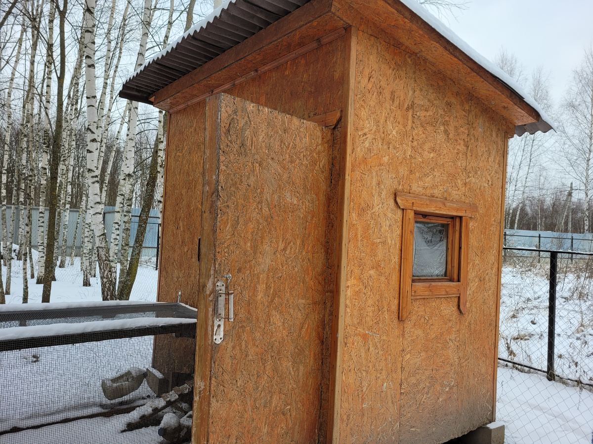 Наш курятник