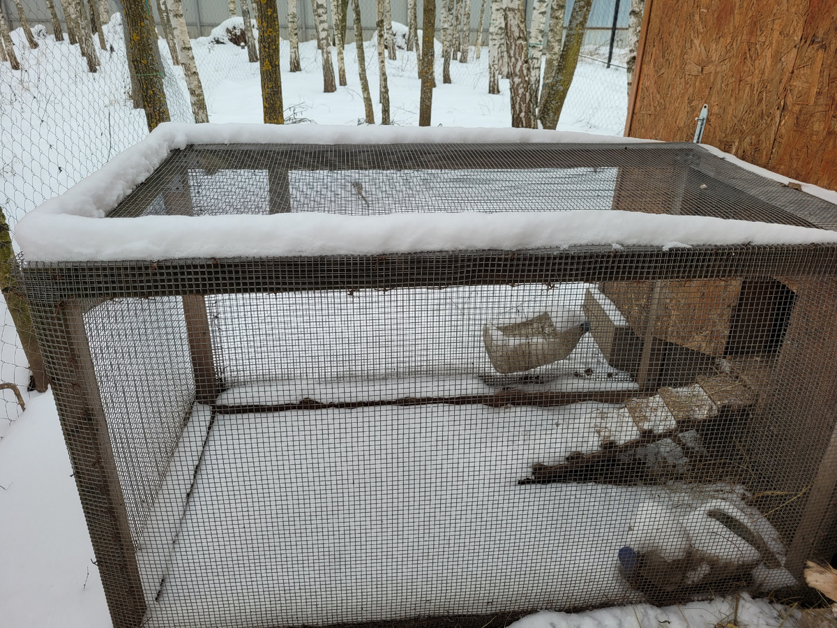 Сетчатый выгул, когда мы уезжаем