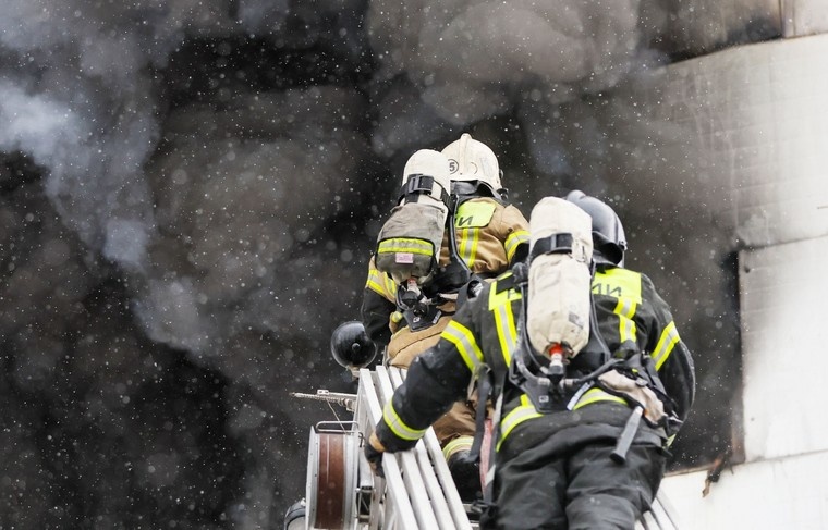    Алексей Белкин/NEWS.ru