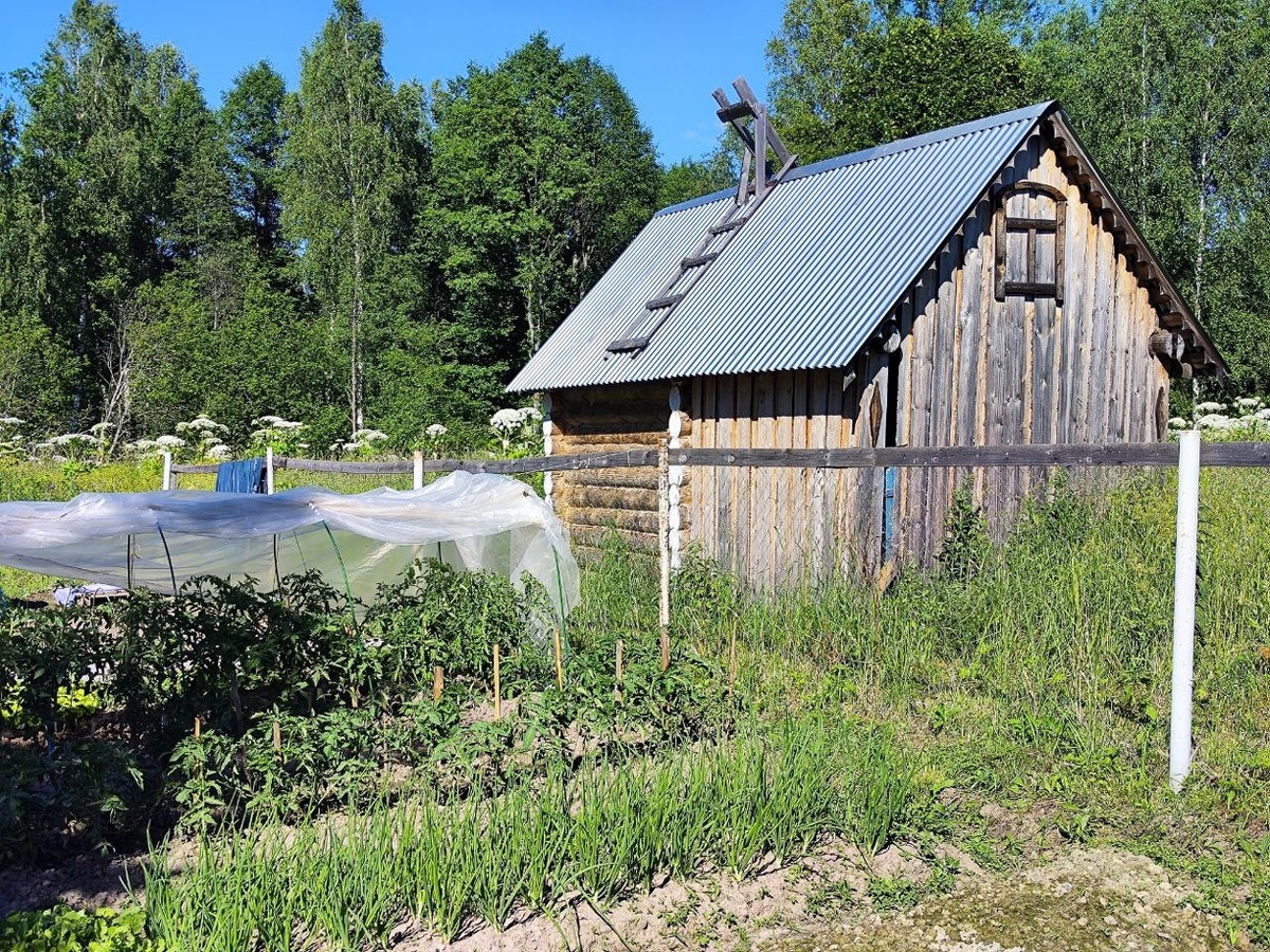 Хозяйственные постройки должны быть расположены не ближе одного метра от забора.  Фото: ФедералПресс / Ксения Кобалия