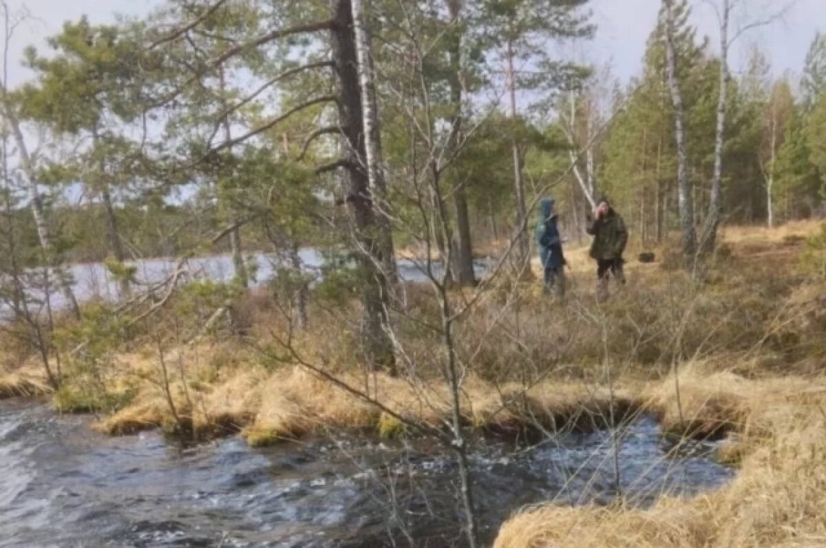    Проверку по факту гибели мужчины на озере проводят в Красногородском районе