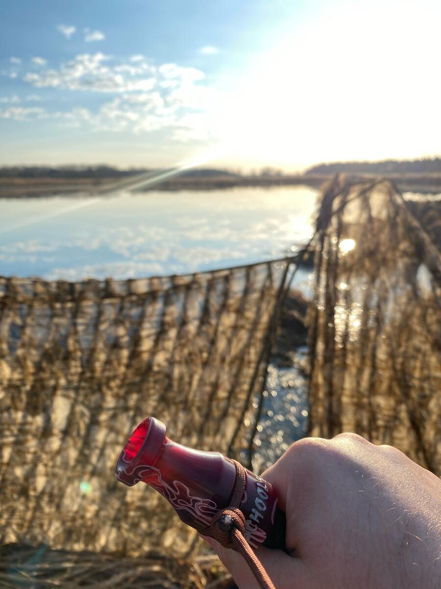 Солнышко встало