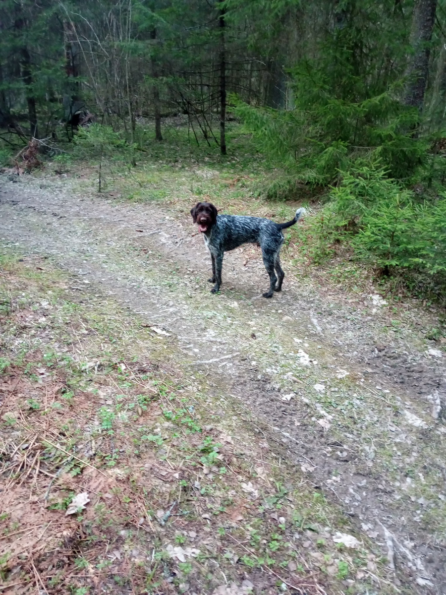 Барик-ёршик