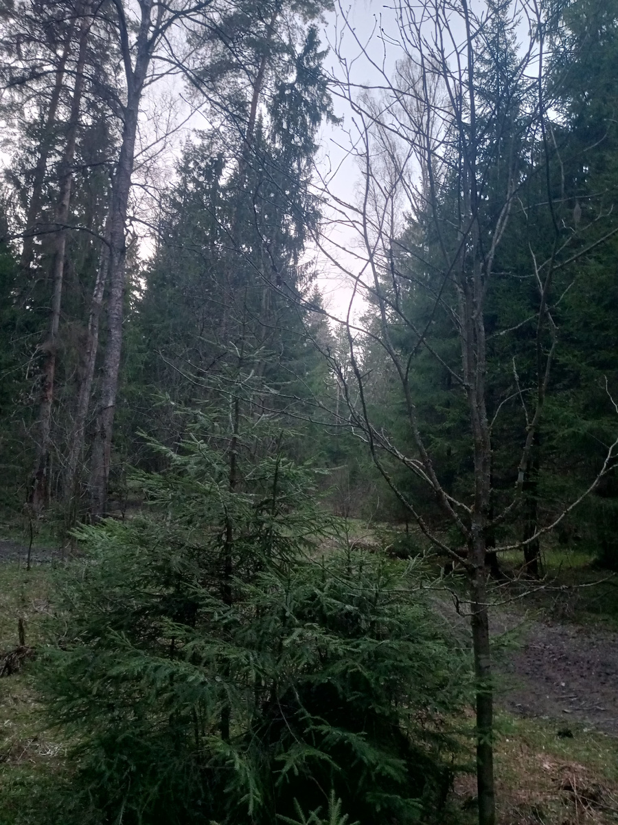 А местечко-то и правдо не плохое, не понятно только, почему пусто