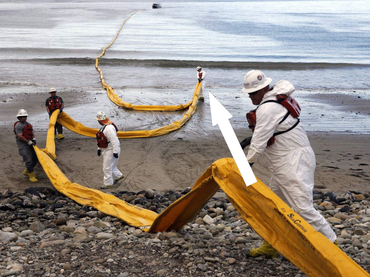    Российские микробы-уборщики спасают океан от нефтяных катастроф