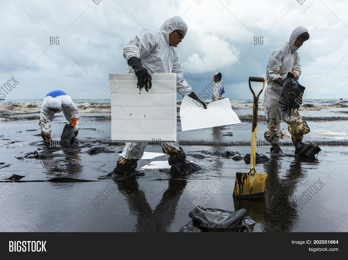    Российские микробы-уборщики спасают океан от нефтяных катастроф