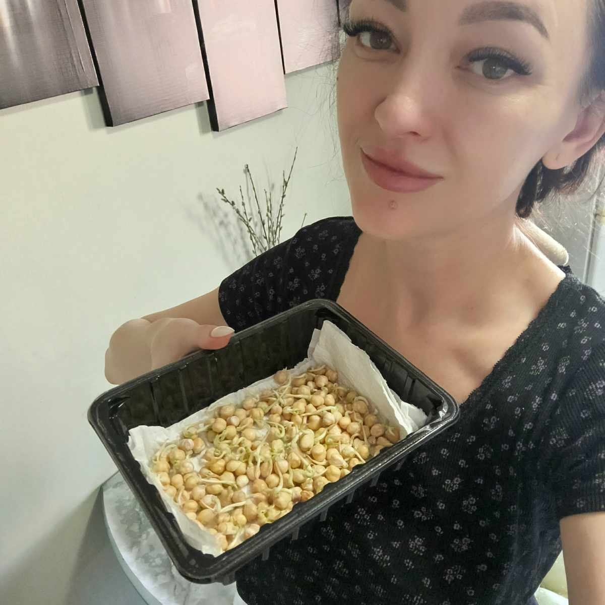 выращиваю микрозелень нута