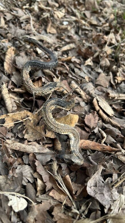    Фото: Амур.инфо