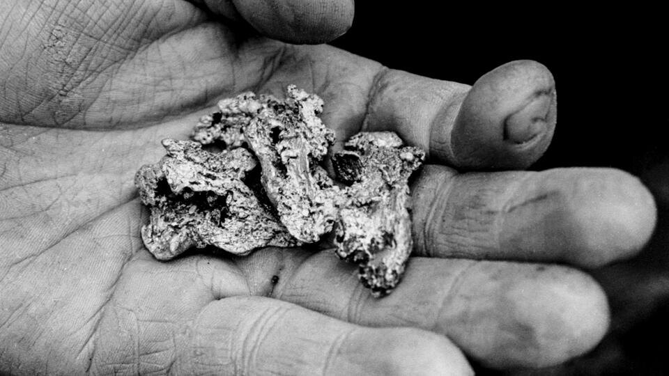 Фото: © Семехин Анатолий/ТАСС
