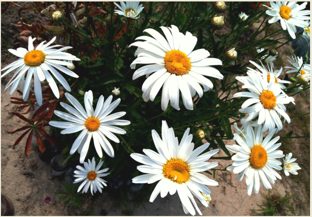 Фото из личного архива автора.