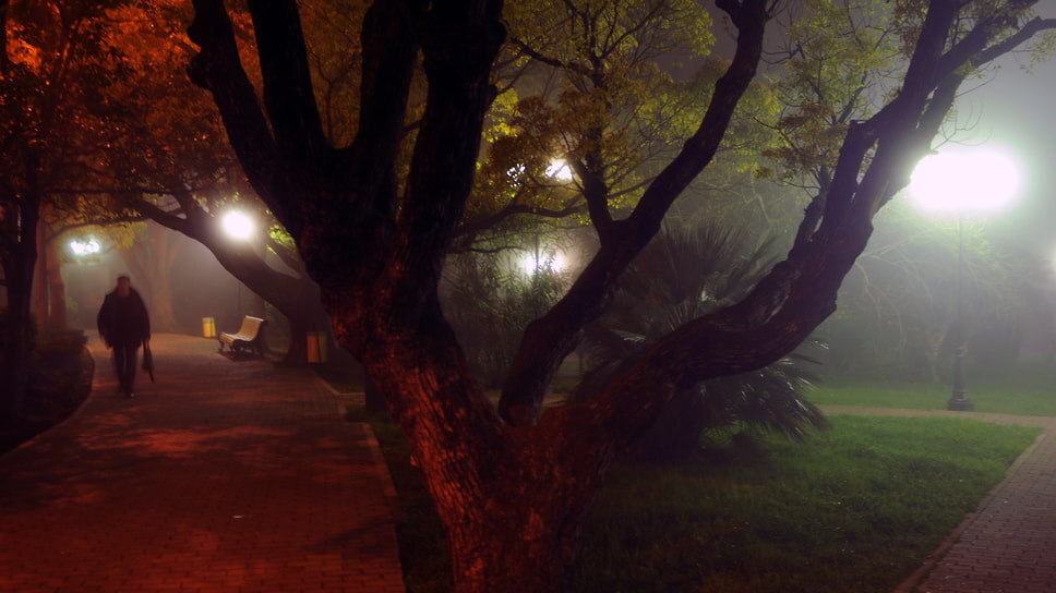 Фото: Маским Смирнов / Коммерсантъ