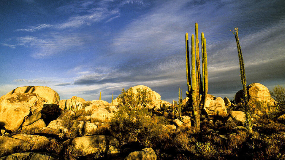 Фото: © Global Look Press/DanitaDelimont.c