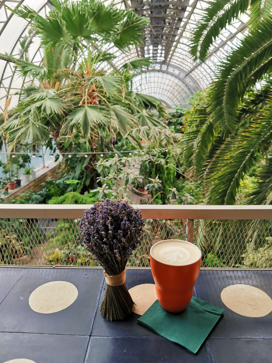 Букет из лаванды. 