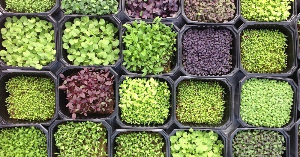 фото с открытых источников