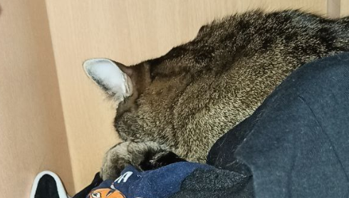 Вот этот коварный тип!