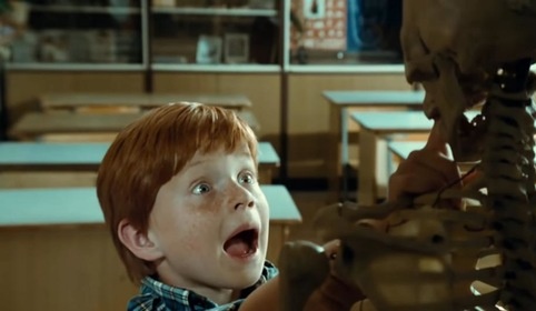 Из открытых источников интернета 