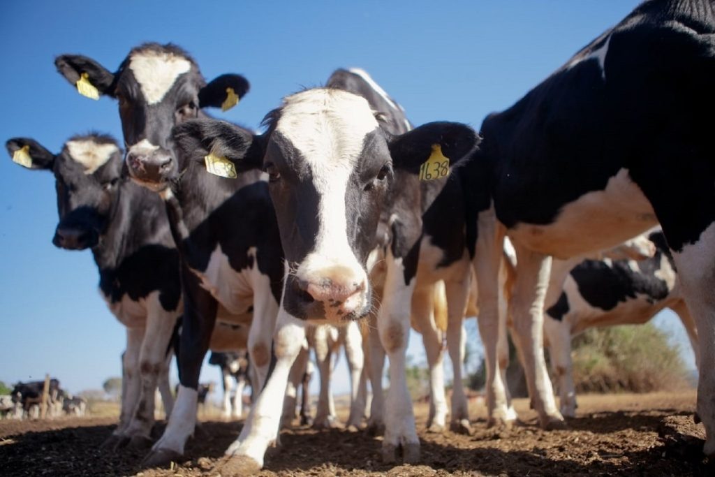 фото: пресс-служба правительства Тверской области