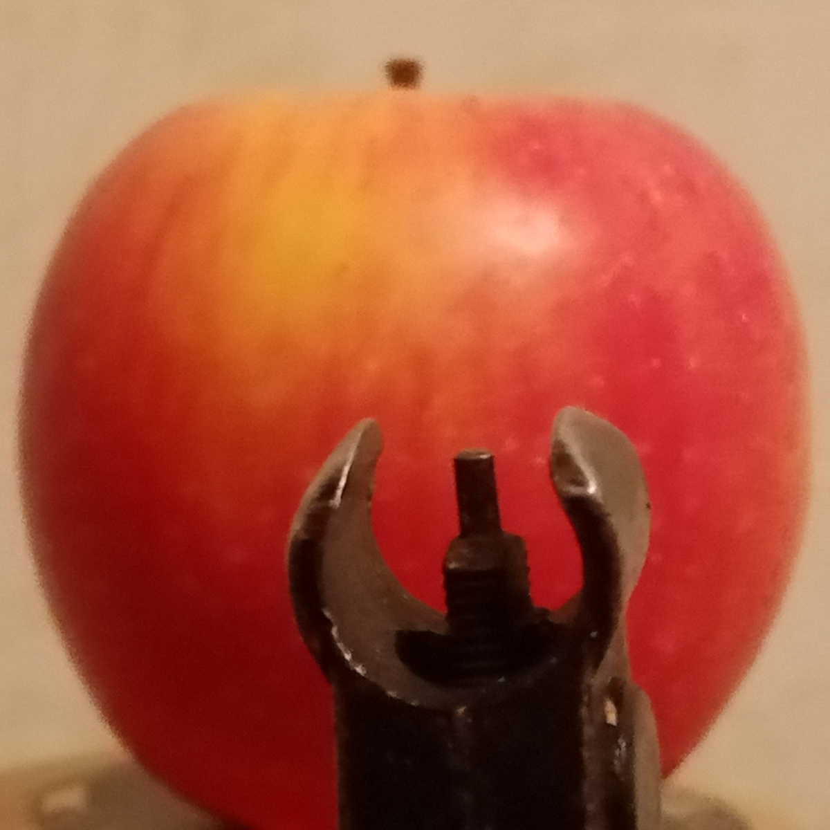 Ой, как мы эту фотографию делали😂😂😂