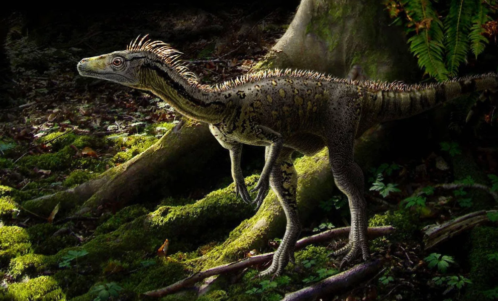 Эораптор динозавр