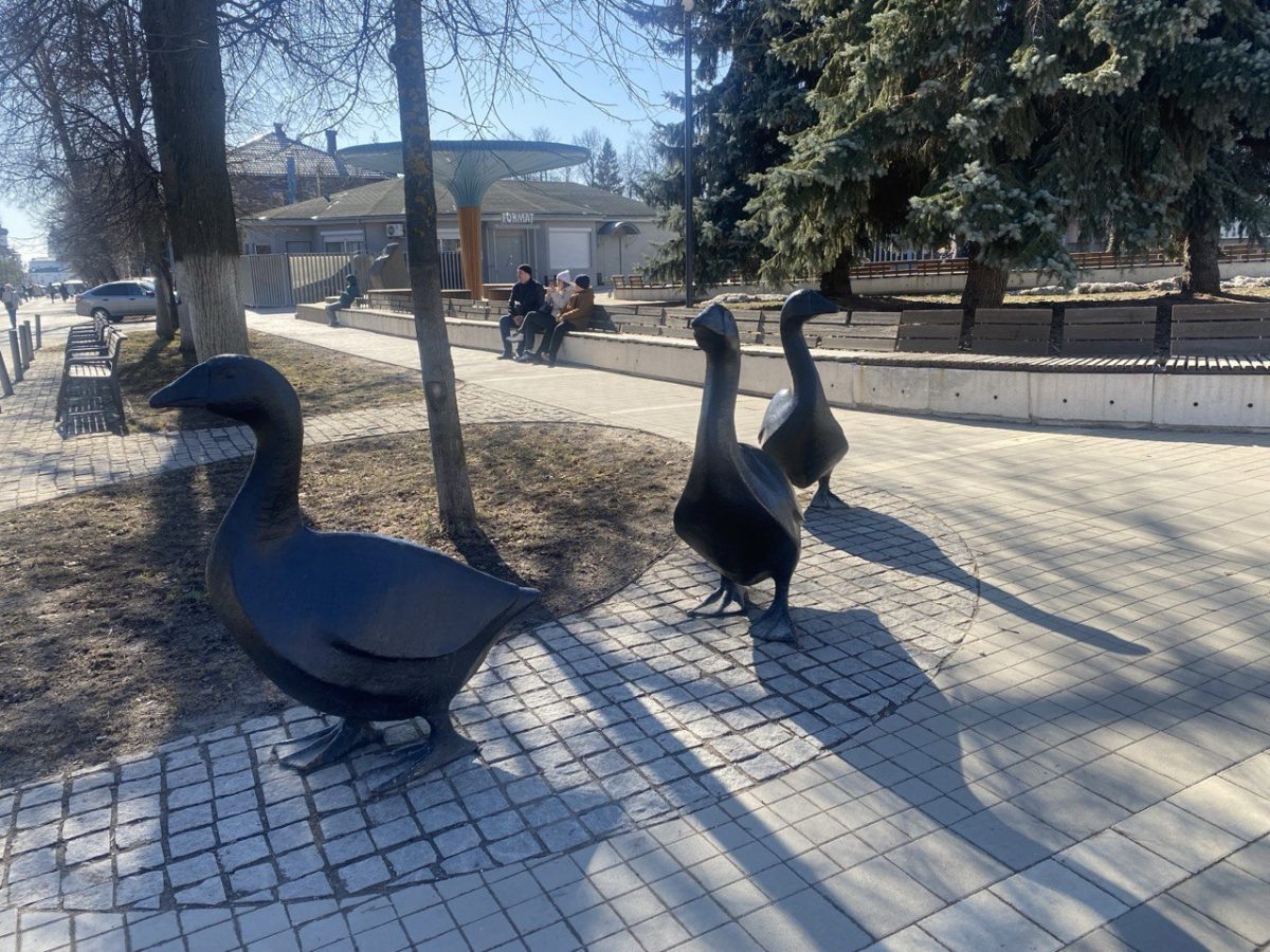     Обновлённая сеть охватывает популярные места в Арзамасе