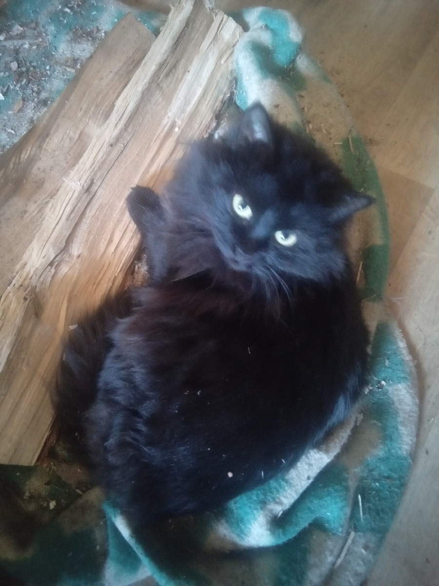 Фото автора.