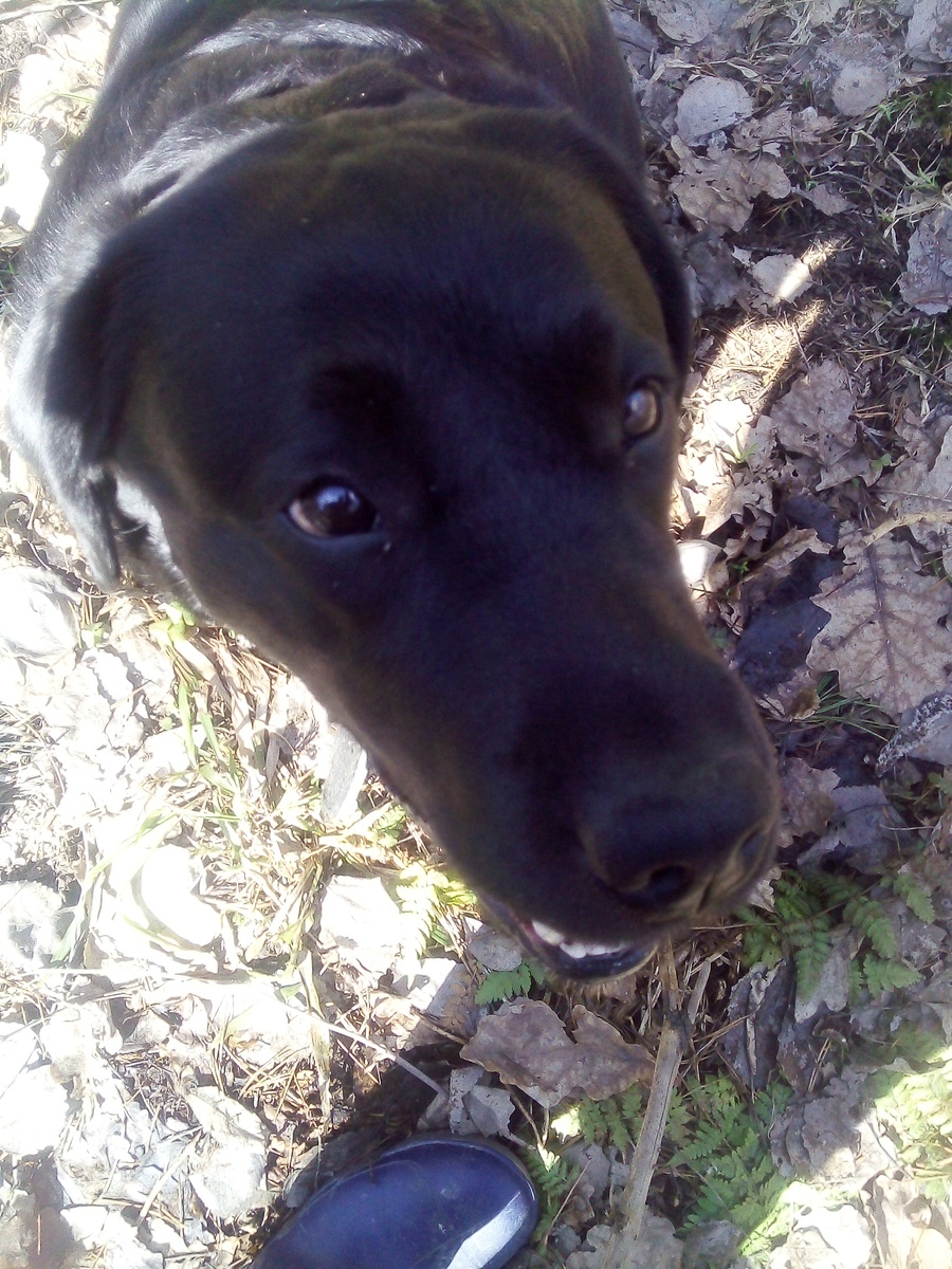 Фото автора.