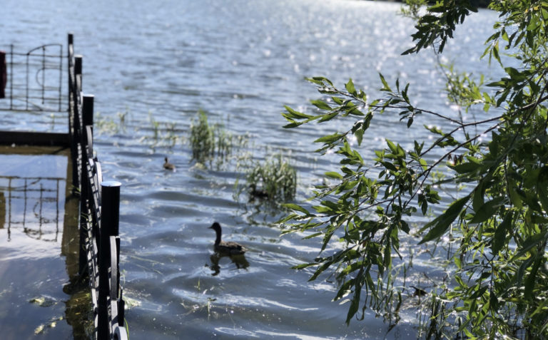    фото: администрация Салехарда Ксения Евдокимова