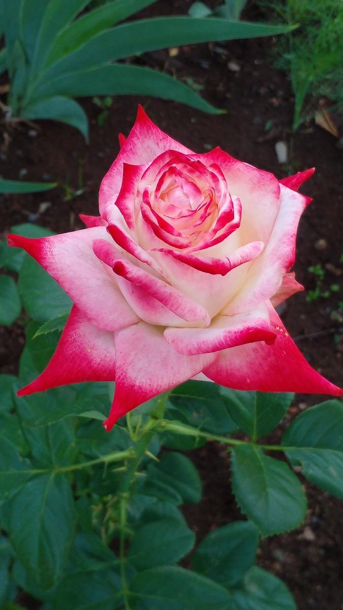 Фото автора 2024 год