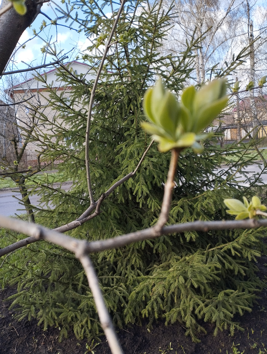 Фото автора 