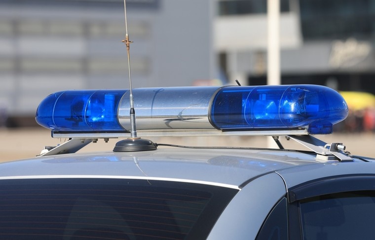    Наталья Шатохина/NEWS.ru