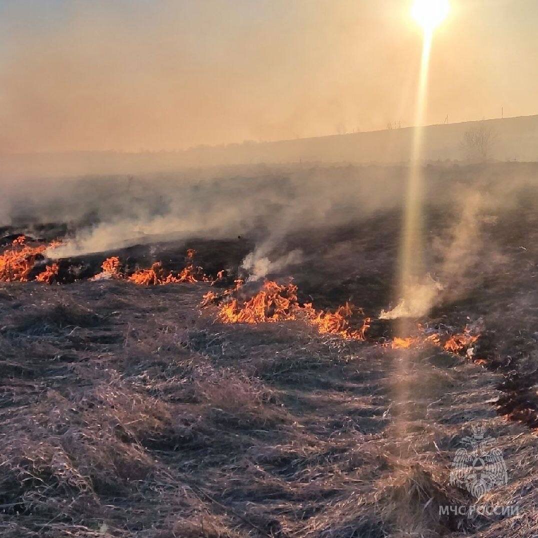    В Нижегородской области с начала весны составлено 106 протоколов за поджоги травы
