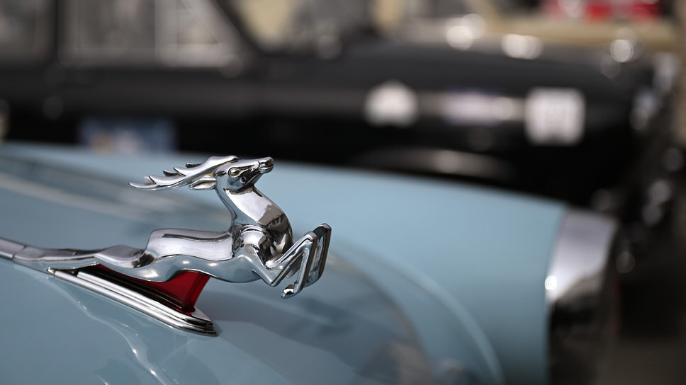 Фото: Глеб Щелкунов / Коммерсантъ