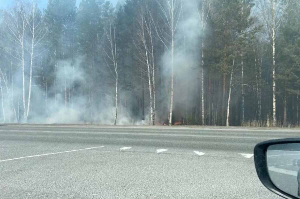    Тюменские власти скорректируют постановление о противопожарном режиме