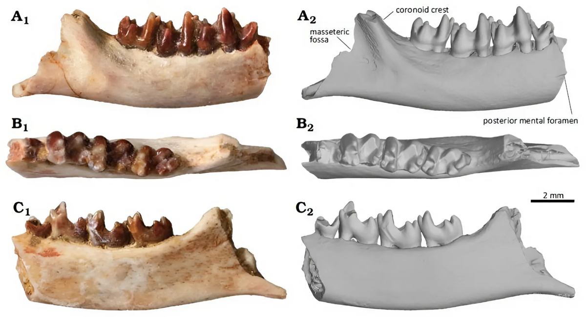 Фото: информационное агентство Монголии Montsame