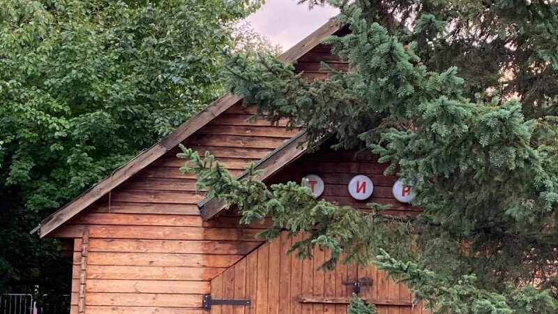     Летний Барнаул. Александра Бахтинова